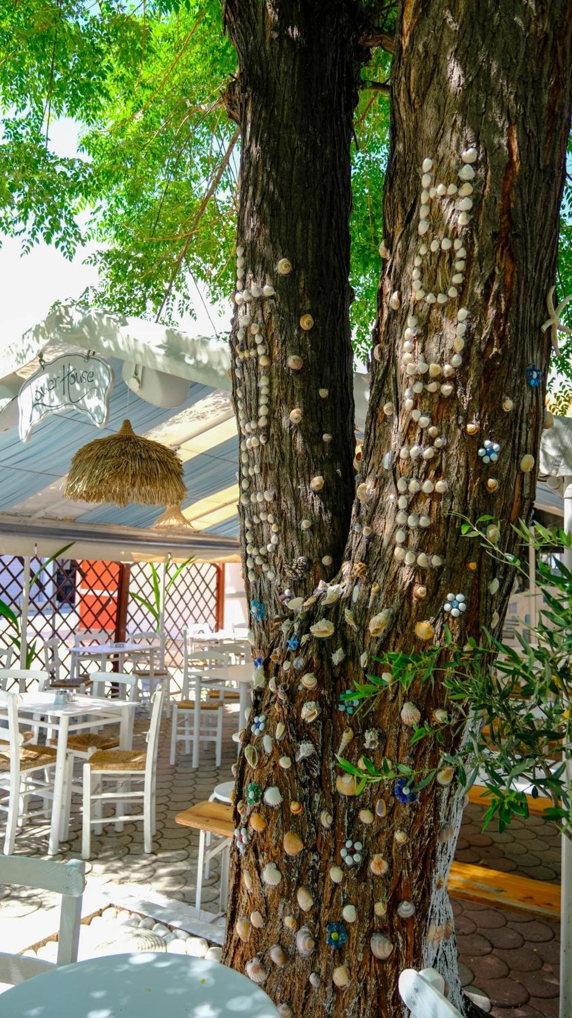 Cocoon Hotel-Beach Bar 萨尔蒂 外观 照片