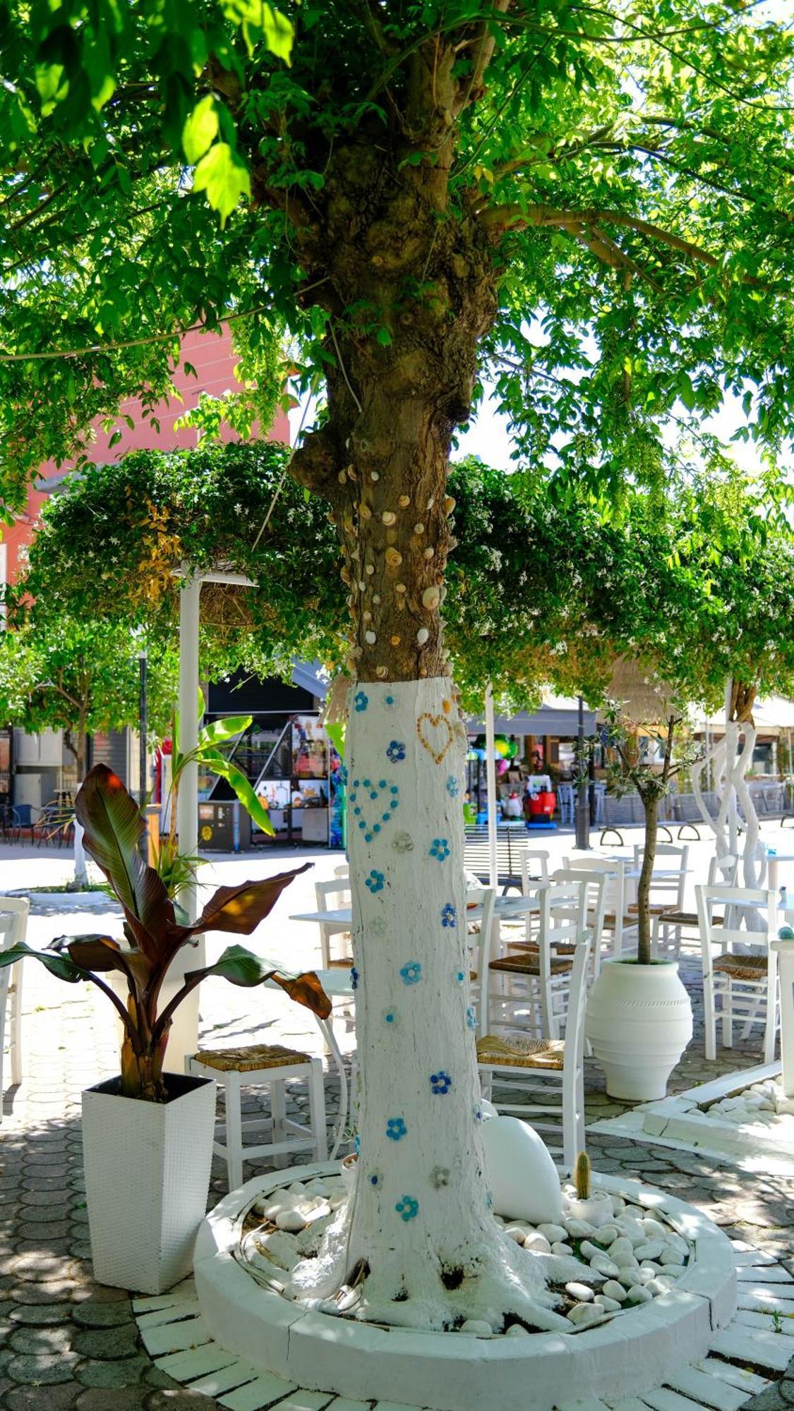 Cocoon Hotel-Beach Bar 萨尔蒂 外观 照片