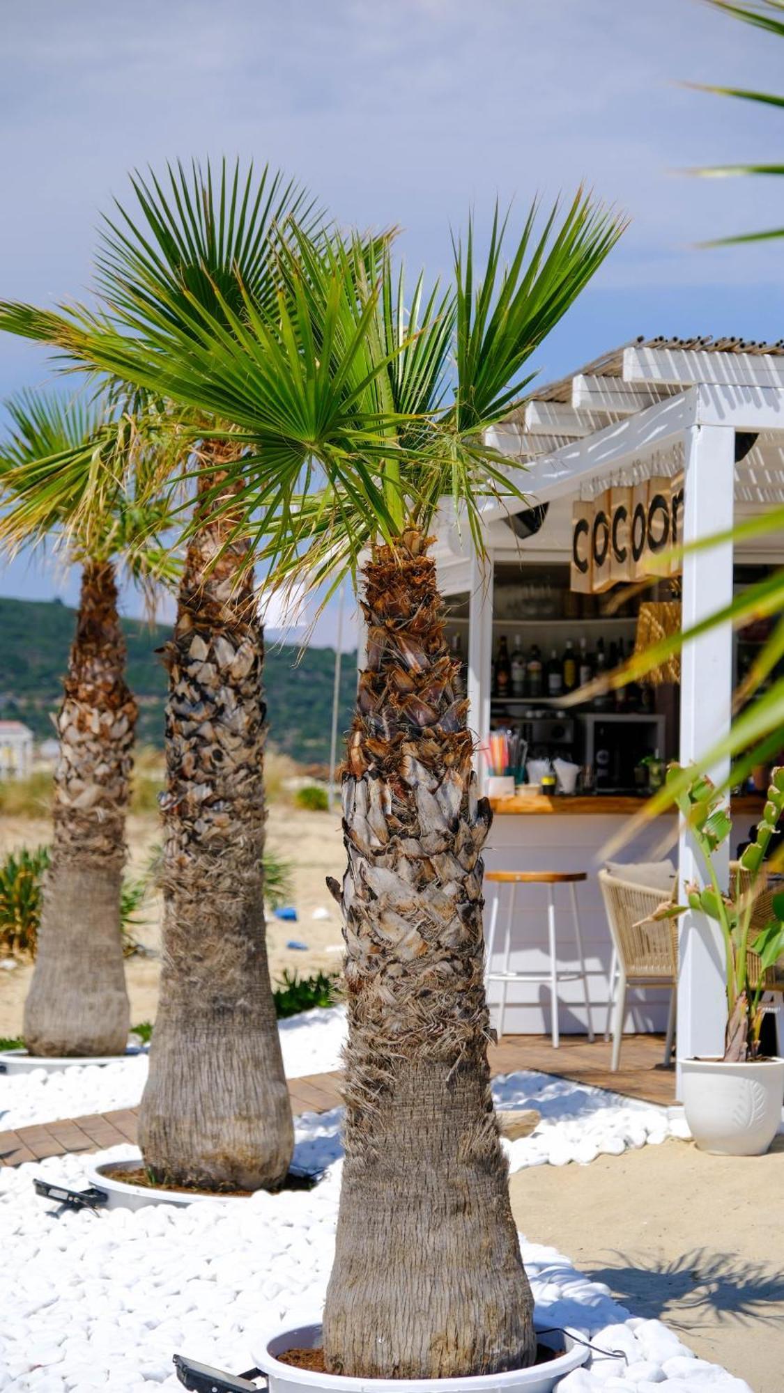 Cocoon Hotel-Beach Bar 萨尔蒂 外观 照片
